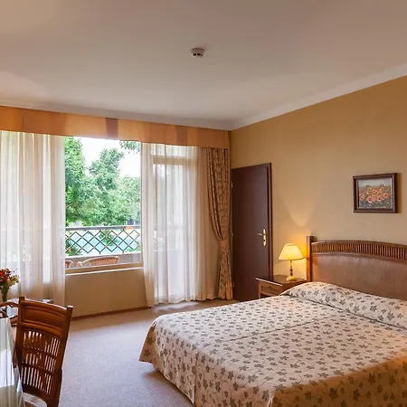 Hotel Drustar